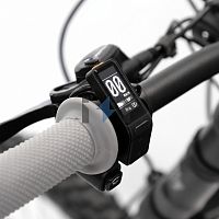 Дисплей TALARIA STING MX TL3000